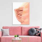 Conceptueel Afbeelding van de borstanatomie van he Canvas Afdruk (Insitu (Woonkamer))