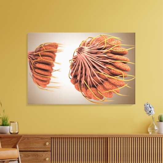 Conceptueel Afbeelding van de borstanatomie van he Canvas Afdruk (Insitu (Woonkamer))