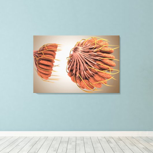 Conceptueel Afbeelding van de borstanatomie van he Canvas Afdruk (Insitu (Houten vloer))