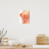 Conceptueel Afbeelding van de borstanatomie van he Poster (Keuken)