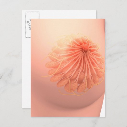 Conceptueel Afbeelding van de borstanatomie van Vr Briefkaart (Voorkant / Achterkant)