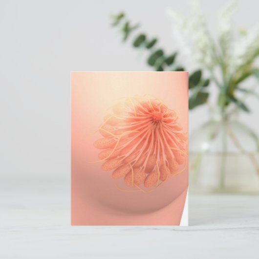 Conceptueel Afbeelding van de borstanatomie van Vr Briefkaart (Staand voorkant)