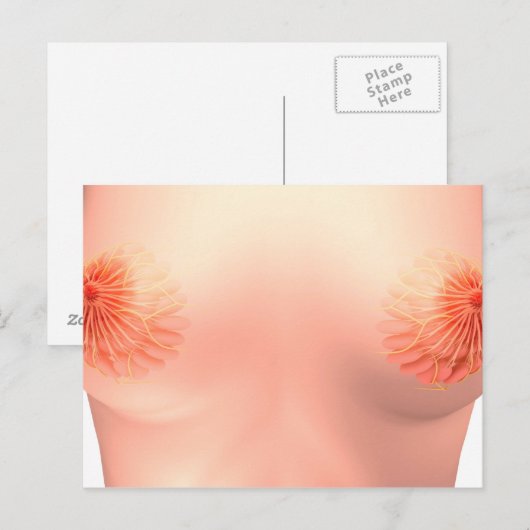 Conceptueel Afbeelding van de borstanatomie van Vr Briefkaart (Voorkant / Achterkant)