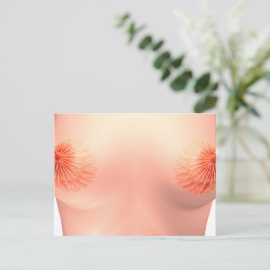 Conceptueel Afbeelding van de borstanatomie van Vr Briefkaart (Staand voorkant)