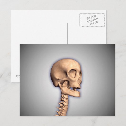 Conceptueel Afbeelding van de humane schedel en ru Briefkaart (Voorkant / Achterkant)