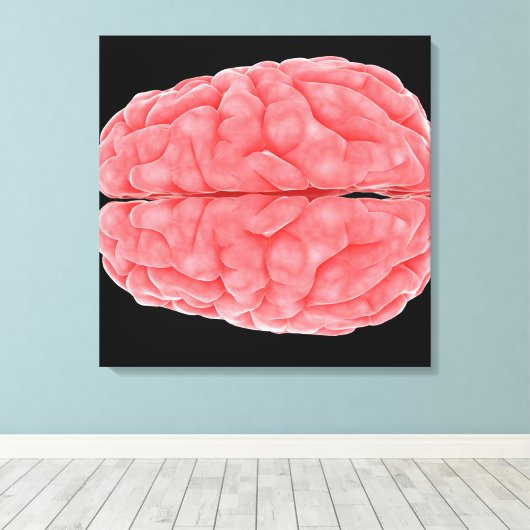 conceptueel Afbeelding van de menselijke hersenen  Canvas Afdruk (Insitu (Houten vloer))