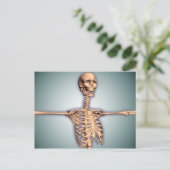 Conceptueel Afbeelding van de menselijke ribkooi e Briefkaart (Staand voorkant)