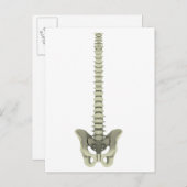 Conceptueel Afbeelding van de menselijke ruggengra Briefkaart (Voorkant / Achterkant)