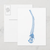 Conceptueel Afbeelding van de menselijke ruggengra Briefkaart (Voorkant / Achterkant)