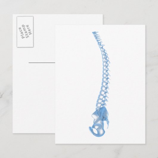 Conceptueel Afbeelding van de menselijke ruggengra Briefkaart (Voorkant / Achterkant)