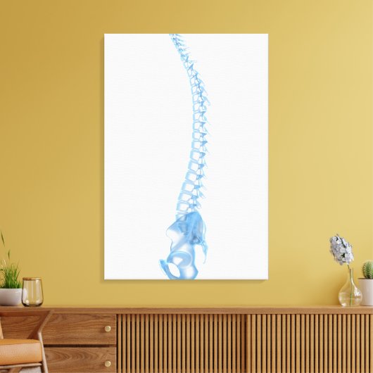 Conceptueel Afbeelding van de menselijke ruggengra Canvas Afdruk (Insitu (Woonkamer))