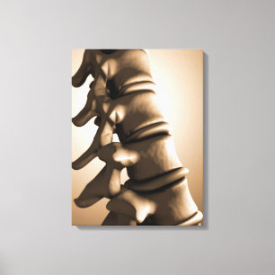 Conceptueel Afbeelding van de menselijke ruggengra Canvas Afdruk