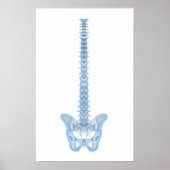Conceptueel Afbeelding van de menselijke ruggengra Poster (Voorkant)