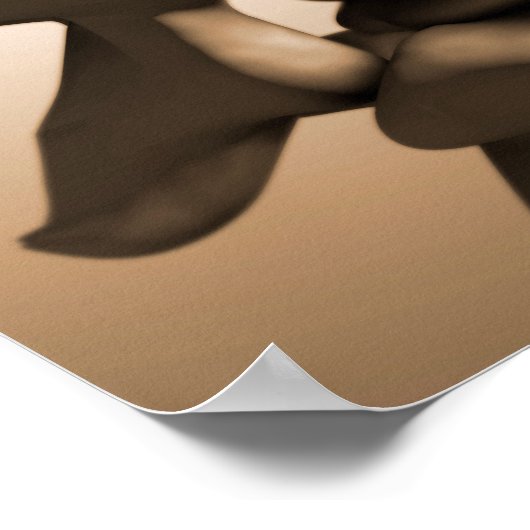 Conceptueel Afbeelding van de menselijke ruggengra Poster (Hoek)