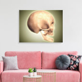 Conceptueel Afbeelding van de menselijke schedel, Canvas Afdruk (Insitu (Woonkamer))
