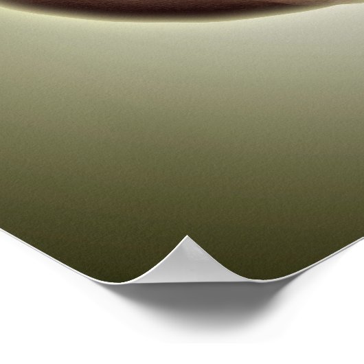 Conceptueel Afbeelding van de menselijke schedel,  Poster (Hoek)