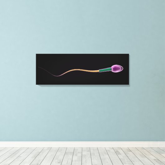 Conceptueel Afbeelding van de Sperm-anatomie Canvas Afdruk (Insitu (Houten vloer))