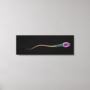 Conceptueel Afbeelding van de Sperm-anatomie Canvas Afdruk