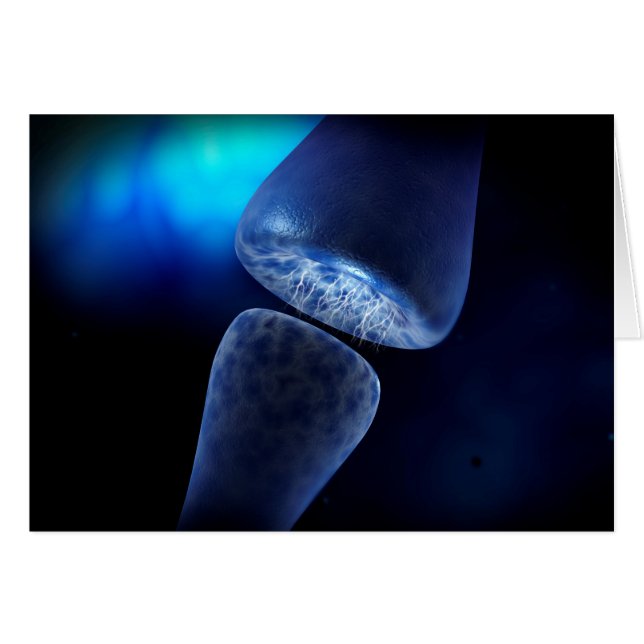 Conceptueel Afbeelding van de synapse van neuron i (Voorkant Horizontaal)