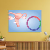 Conceptueel Afbeelding van de voortplantingsorgane Canvas Afdruk (Insitu (Woonkamer))