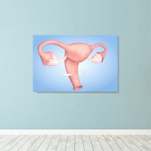 Conceptueel Afbeelding van de voortplantingsorgane Canvas Afdruk (Insitu (Houten vloer))