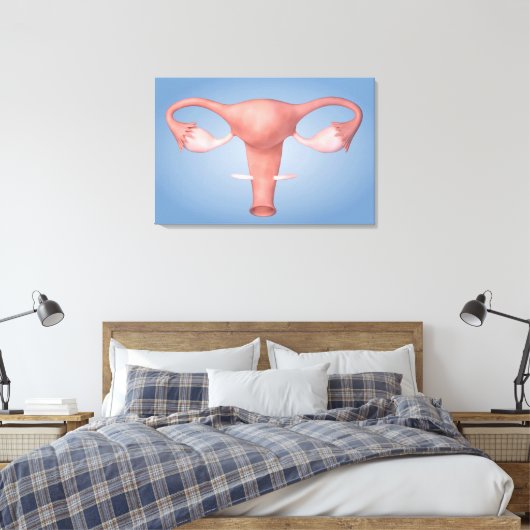 Conceptueel Afbeelding van de voortplantingsorgane Canvas Afdruk (Insitu (Slaapkamer))