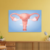 Conceptueel Afbeelding van de voortplantingsorgane Canvas Afdruk (Insitu (Woonkamer))