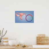 Conceptueel Afbeelding van de voortplantingsorgane Poster (Keuken)