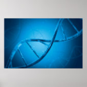 Conceptueel Afbeelding van DNA 6 Poster (Voorkant)