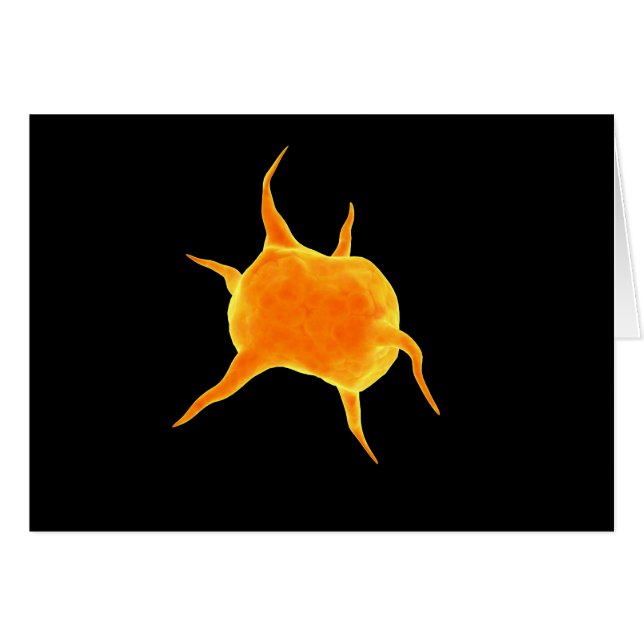 Conceptueel Afbeelding van een bloedplaatje (Voorkant Horizontaal)