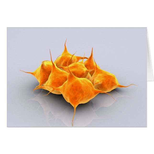 Conceptueel Afbeelding van een groep plaatjes (Voorkant Horizontaal)