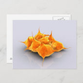 Conceptueel Afbeelding van een groep plaatjes Briefkaart (Voorkant / Achterkant)