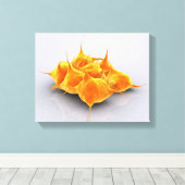 Conceptueel Afbeelding van een groep plaatjes Canvas Afdruk (Insitu (Houten vloer))