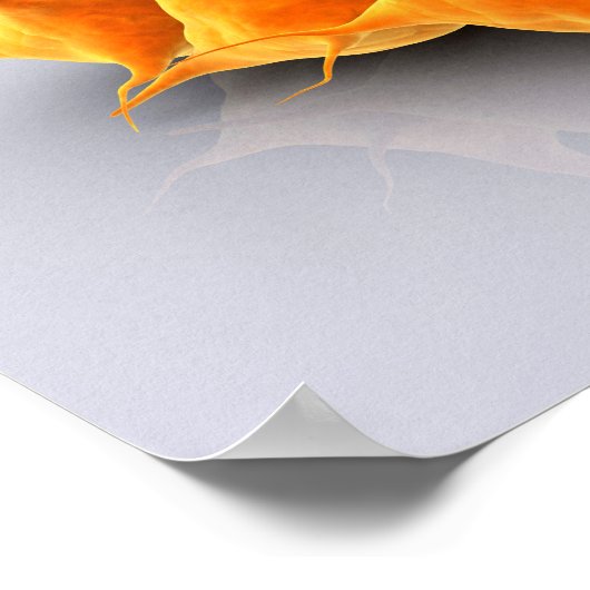 Conceptueel Afbeelding van een groep plaatjes Poster (Hoek)