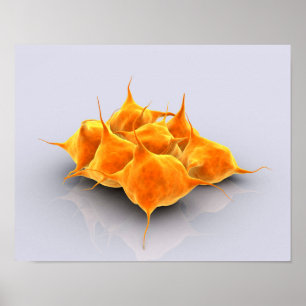 Conceptueel Afbeelding van een groep plaatjes Poster