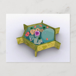Conceptueel Afbeelding van een Plant cel Briefkaart
