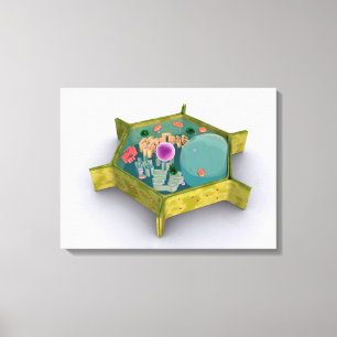 Conceptueel Afbeelding van een Plant cel Canvas Afdruk