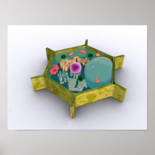 Conceptueel Afbeelding van een Plant cel Poster