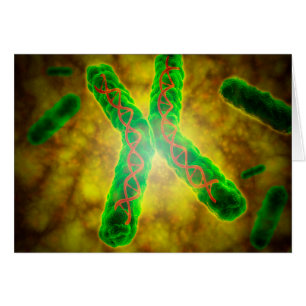 Conceptueel Afbeelding van een telomeer