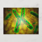 Conceptueel Afbeelding van een telomeer Briefkaart (Voorkant)