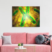 Conceptueel Afbeelding van een telomeer Canvas Afdruk (Insitu (Woonkamer))