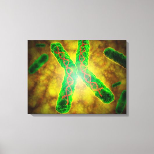 Conceptueel Afbeelding van een telomeer Canvas Afdruk (Voorkant)
