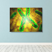 Conceptueel Afbeelding van een telomeer Canvas Afdruk (Insitu (Houten vloer))