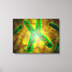 Conceptueel Afbeelding van een telomeer Canvas Afdruk