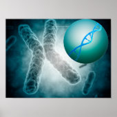 Conceptueel Afbeelding van een telomeer met DNA Poster (Voorkant)
