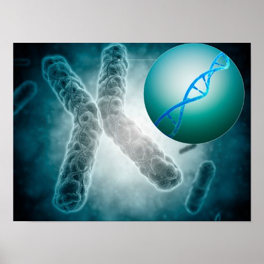 Conceptueel Afbeelding van een telomeer met DNA Poster (Voorkant)