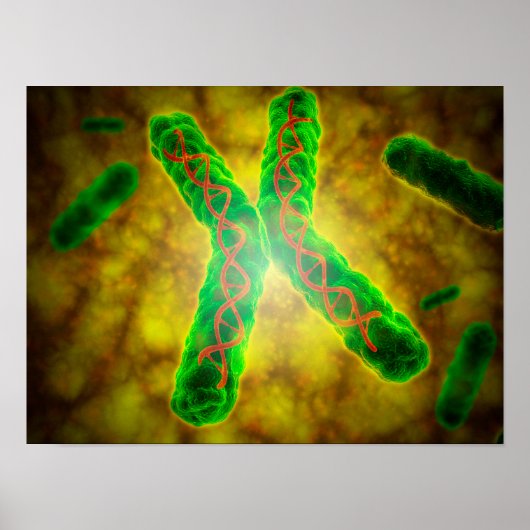 Conceptueel Afbeelding van een telomeer Poster (Voorkant)