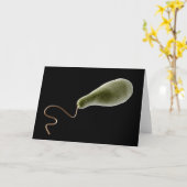 Conceptueel Afbeelding van Euglena 2 Kaart (Gele Bloem)