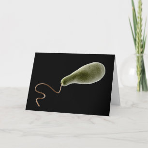 Conceptueel Afbeelding van Euglena 2 Kaart