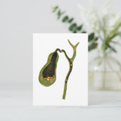 Conceptueel Afbeelding van galstenen in galgen Briefkaart (Staand voorkant)